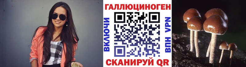 Псилоцибиновые грибы Psilocybe  Поворино 
